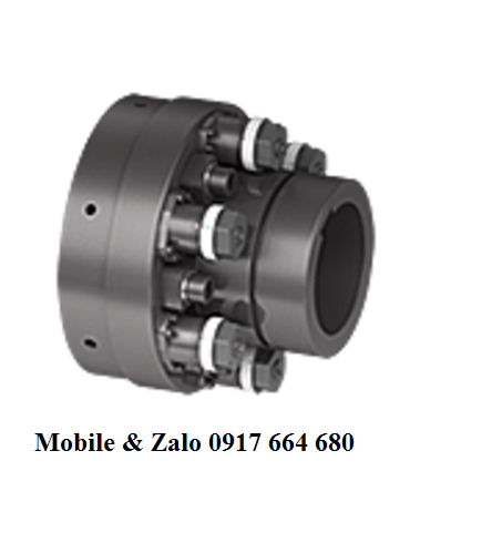 Khớp nối bảo vệ quá tải  TSchan (Germany)